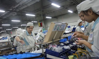 Nhiều doanh nghiệp tư nhân ngày càng lớn mạnh Ảnh: Như Ý