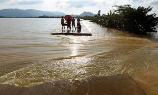 Vỡ đê bao, hàng trăm héc ta cây ăn trái chìm trong nước
