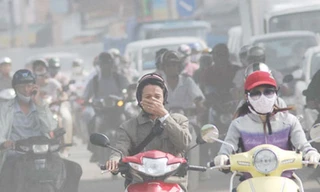 Hành vi gây ô nhiễm môi trường cần được xử lý nghiêm Ảnh: P.V 