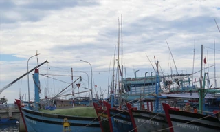 Hàng nghìn tàu cá có nguy cơ tạm nằm bờ do chưa lắp đặt thiết bị giám sát hành trình theo quy định Ảnh: Bình Phương