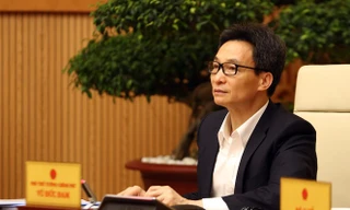 Phó Thủ tướng Vũ Đức Đam - Ảnh: Đình Nam