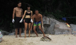 Nhóm bạn trẻ tại Đà Nẵng thả một chú rùa suýt bị làm mồi nhậu về biển vào tháng 10/2018 Ảnh: Thanh Trần 