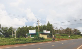 Ông Nguyễn Thanh Sơn được huyện Đắk Song đề xuất cấp sổ đỏ trên đất rừng ở xã Trường Xuân