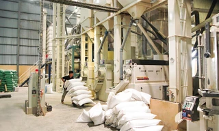 Nhu cầu gạo trong nước tăng cao Ảnh: Uyên Phương