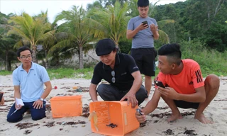 Trứng rùa đưa xuống các hố cát đào sâu khoảng 50cm Ảnh: Thanh Trần 