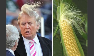 Mái tóc “kỳ quặc” của ông Donald Trump