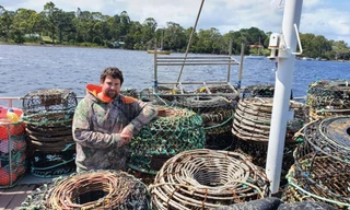 Ngư dân Úc Jason Hart phải bán tôm hùm tại cảng vì không xuất được sang Trung Quốc như trước Ảnh: abc.net