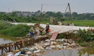 Lợn chết nổi trên kênh khu vực xã Hoàng An, huyện Hiệp Hoà, Bắc Giang. Ảnh: B. Phương
