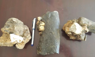 3 mẫu hóa thạch tê giác được phát hiện trong hang động Ảnh: H.N