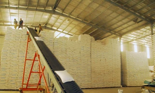 Với lượng lúa gạo tồn kho còn lớn, các DN, chính quyền địa phương ở ĐBSCL đang rất lo ngại về tình hình XK gạo hiện nay Ảnh: CK