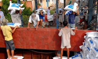  Nhiều doanh nghiệp xuất khẩu gạo gặp khó khăn do các cơ quan thực thi chính sách thiếu nhất quán thời gian qua Ảnh: Cảnh Kỳ