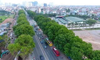 1.300 cây xanh nằm hai bên đường Phạm Văn Đồng dự kiến sẽ được chặt hạ, đánh chuyển do nằm trong dự án đầu tư mở rộng đường Vành đai 3