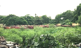 Khu đất nghĩa trang với hàng nghìn ngôi mộ ở khu Tây Nam Linh Đàm (phường Hoàng Liệt, Hoàng Mai) trước đây được quy hoạch dự án trường học