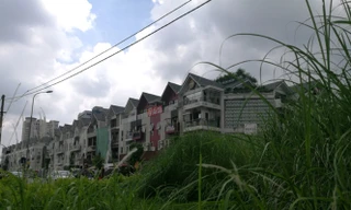 Hà Nội, sẽ không cắt cỏ đại trà mà để kinh phí đầu tư hạ tầng xã hội, phục vụ dân sinh 