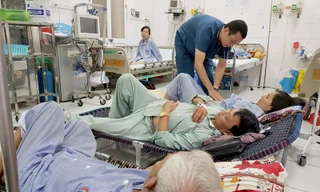 Hà Nội ghi nhận 2.195 ổ dịch SXH