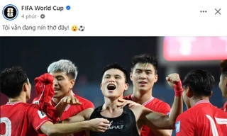 Trang chủ FIFA World Cup ca ngợi chiến thắng của tuyển Việt Nam