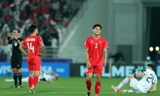 Tuyển Việt Nam mất nhiều điểm nhất, tụt 12 bậc trên BXH FIFA tháng 2/2024