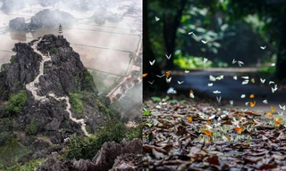 Điểm du lịch dịp nghỉ lễ gần Hà Nội: Săn bướm ở Cúc Phương, ngắm trọn đất trời ở Hang Múa