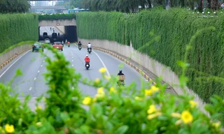 Mãn nhãn với bức tường của hầm chui được phủ kín cây xanh ở Hà Nội những ngày oi bức