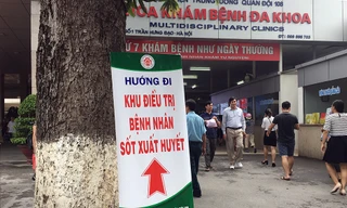 Lập bệnh viện dã chiến điều trị sốt xuất huyết