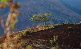 Núi lửa Chư Đăng Ya, địa danh không thể bỏ qua của du khách khi đến đại ngàn Gia Lai