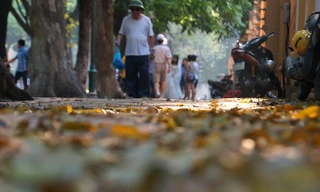 Chụp ảnh tạo dáng trên phố dưới cái nắng thiêu người