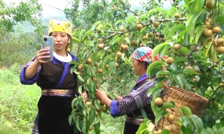 Yên Bái và những cơ hội thúc đẩy chuyển đổi số