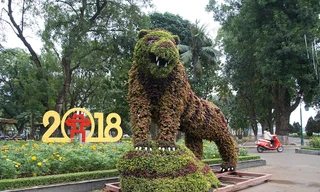 12 con giáp bằng cây xanh trong công viên Thống Nhất