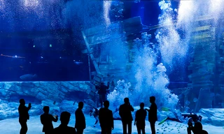 Người dân xếp hàng đợi mua vé khám phá thủy cung với diện tích hơn 9 nghìn mét vuông ở Hà Nội