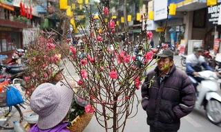 Chợ hoa cổ nhất Hà Thành nhộn nhịp ngày đầu mở cửa