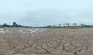 Nhiều ao, đầm quanh Hồ Tây rút nước, lòng cạn khô trơ đáy nứt nẻ như sa mạc