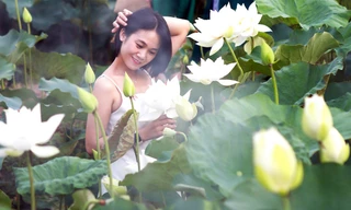 Đầm sen trắng ở ngoại thành Hà Nội thu hút giới trẻ