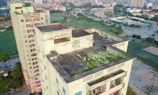 Sân thượng trồng rau, tầng một chứa rác ở khu tái định cư Nam Trung Yên