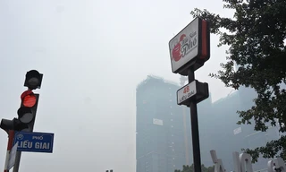 Hàng nghìn m2 đất công phố Phan Kế Bính bị 'xẻ thịt' thế nào?