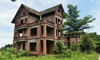 Biệt thự hàng tỷ đồng chằng chịt dây leo trong đô thị bỏ hoang 