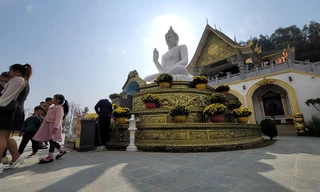 Du xuân tại ngôi chùa tuyệt đẹp nơi cửa biển xứ Thanh