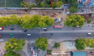Con đường có 1300 cây xà cừ trong những ngày nắng nóng đỉnh điểm