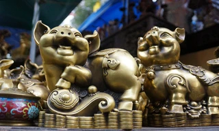 Muôn trạng thái siêu ngộ nghĩnh của linh vật năm Hợi 2019