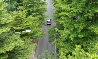 Dạo trên những con đường rợp bóng cây xanh giữa ngày hè ‘đổ lửa’ tại Hà Nội