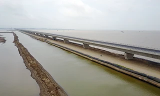 Chuyên gia Nhật Bản nói về cầu vượt biển dài hàng đầu Đông Nam Á