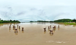 Khám phá di tích quốc gia huyền thoại - Bến tàu không số Hải Phòng