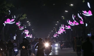 Đường phố Hà Nội rực rỡ chuẩn bị đón Tết Kỷ Hợi