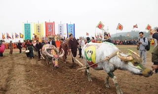 Xem 'Nhà Vua' 95 tuổi xuống đồng làm lễ Tịch Điền 