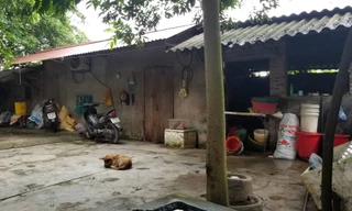 Căn nhà trọ của gia đình cháu Nguyên, phía trước là 1 trong những chú chó của bà An.