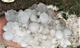 Mưa đá, dông lốc liên tục gây thiệt hại nặng ở các tỉnh miền núi phía Bắc