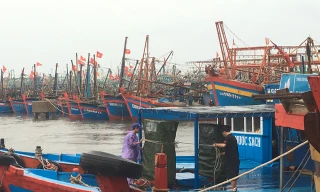 Phó Thủ tướng Trịnh Đình Dũng yêu cầu các đia phương không được chủ quan, chủ động ứng phó với áp thấp nhiệt đới khả năng mạnh thành bão, gây mưa lớn diện rộng.