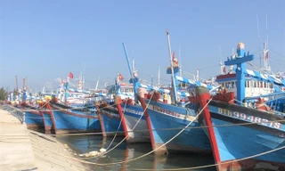 Dự kiến, Đoàn Thanh tra của EC sẽ trở lại kiểm tra về nỗ lực khắc phục thẻ vàng IUU của Việt Nam trong tháng 5 tới.