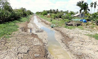 Theo dự báo, Đồng bằng sông Cửu Long có thể đối mặt hạn mặn nghiêm trọng trong mùa khô 2020-2021.