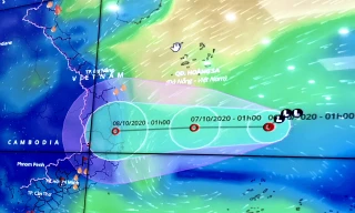 Ông Trần Quang Hoài, Phó Trưởng Ban Chỉ đạo Trung ương về Phòng chống thiên tai đề nghị các địa phương lên kịch ứng phó với đợt mưa lớn rất nguy hiểm ở miền Trung 