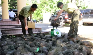 Tổng cục Lâm nghiệp đề nghị các địa phương kiểm soát chặt các cửa khẩu, đường mòn, lối mở, không để động vật hoang dã nhập lậu vào Việt Nam. 
